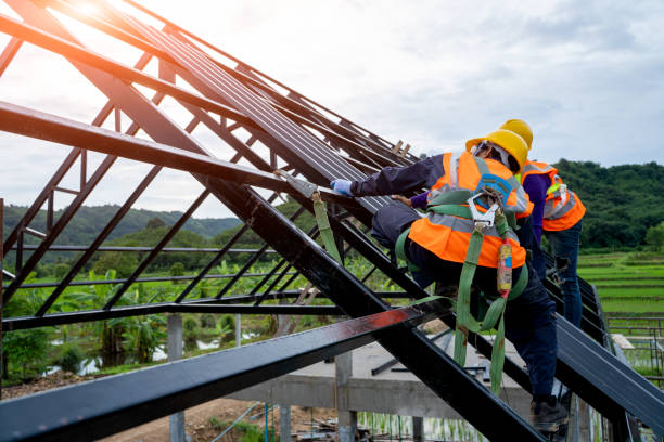 Best Roof Gutter Cleaning  in Westmere, NY